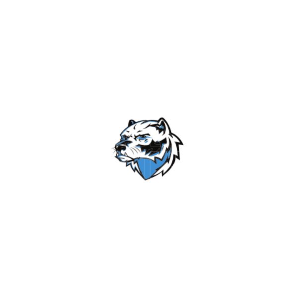 WVBB DESIGN 3 ORANGE Thumbnail